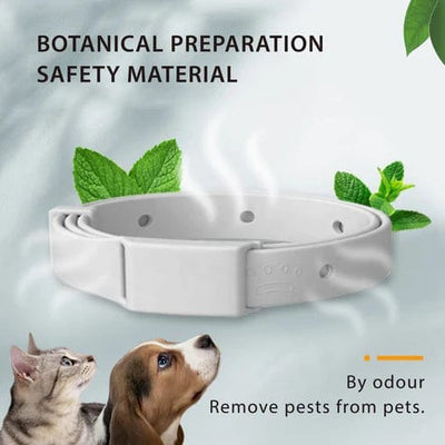 Anti-Flea Pet Collar | Flea and Tick Collar | premiumpetshop