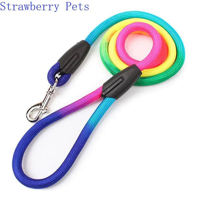 Dog Training Leash | Dog Leash and Collar | premiumpetshop