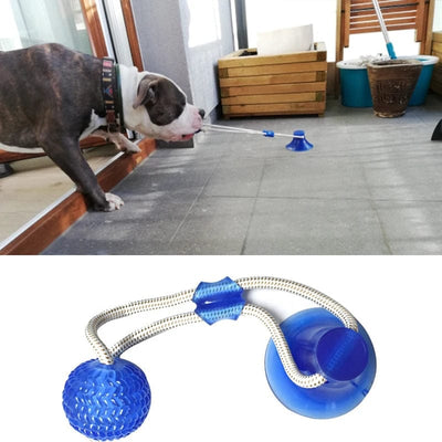 Fantastic Dream Deals Dog Toys Pet Puppy Interactive Suction Cup Push TPR Ball Toys Molar Bite Toy Elastic Ropes Dog Tooth Cleaning Chewing Supplies