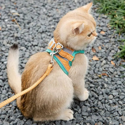 Cat Leash Set | Cat Harness Leash Set | premiumpetshop