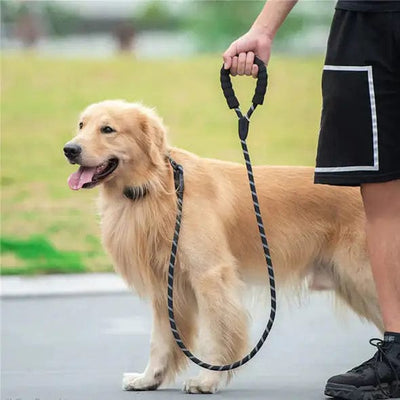 premiumpetshop Reflective Dog Leash