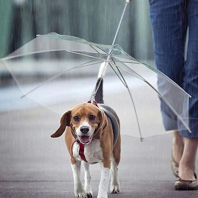 premiumpetshop Transparent Pet Umbrella Leash